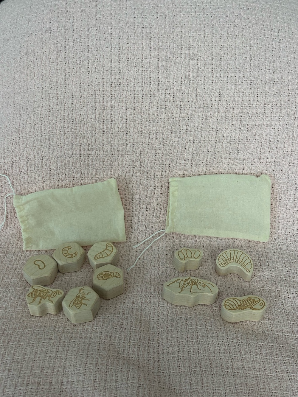 Bee and Ant Life Cycle Wooden Blocks